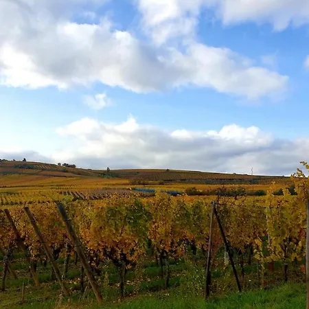 아파트 La Houblonniere Standing Et Confort A 콜마