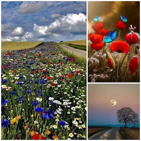 아파트 La Houblonniere Standing Et Confort A 콜마