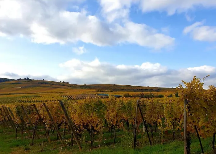 Apartamento La Houblonniere Standing Et Confort A Colmar