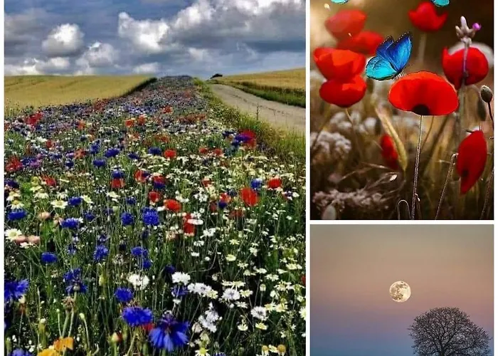 Apartamento La Houblonniere Standing Et Confort A Colmar